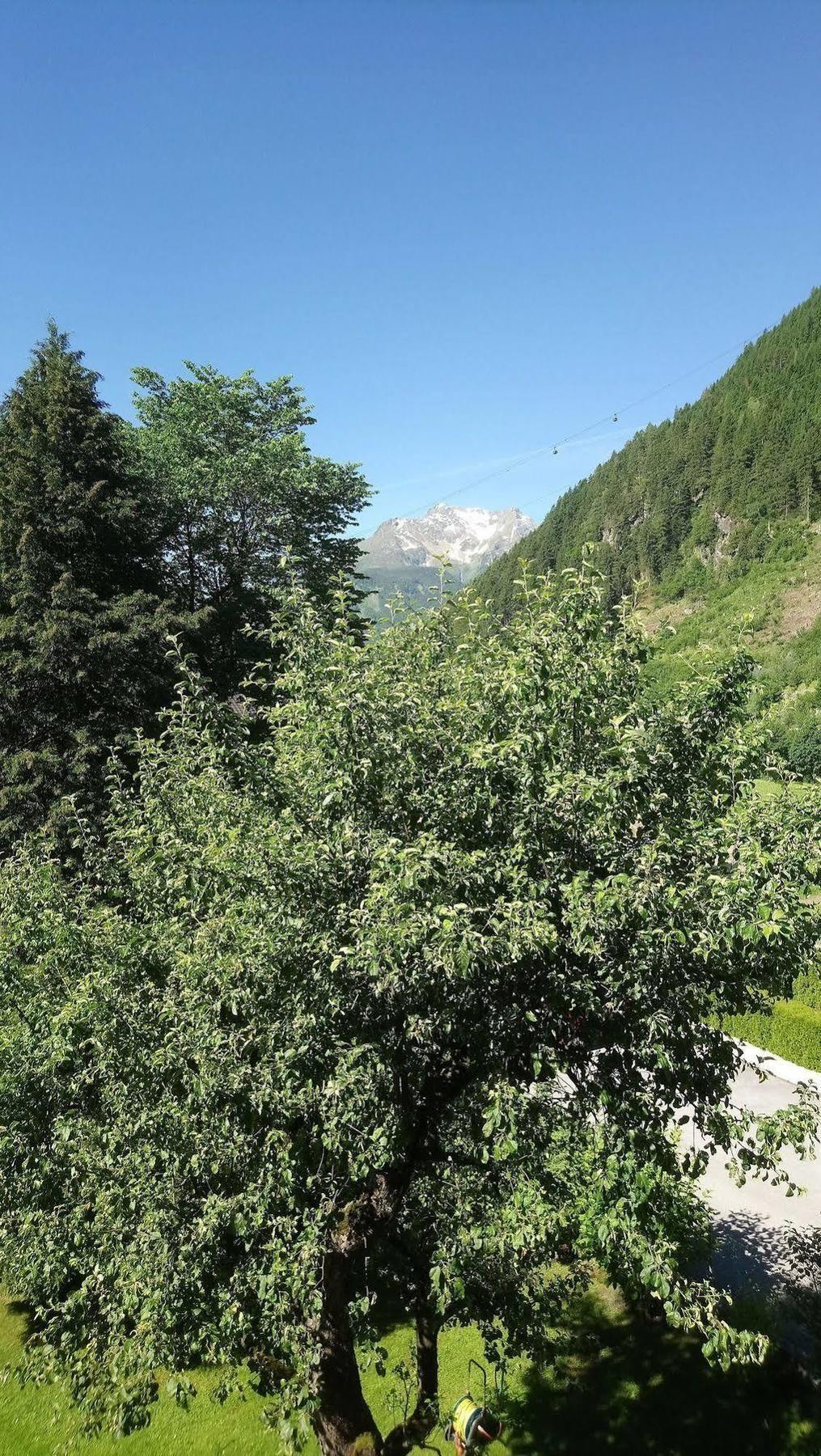 Apartments Rosenhof Mayrhofen Exterior foto